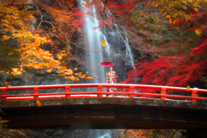 Best Osaka Tours Guide
